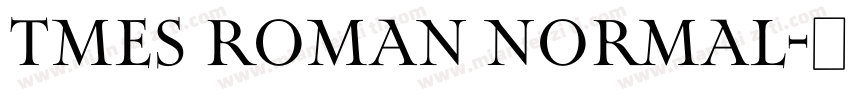 Tmes Roman Normal字体转换